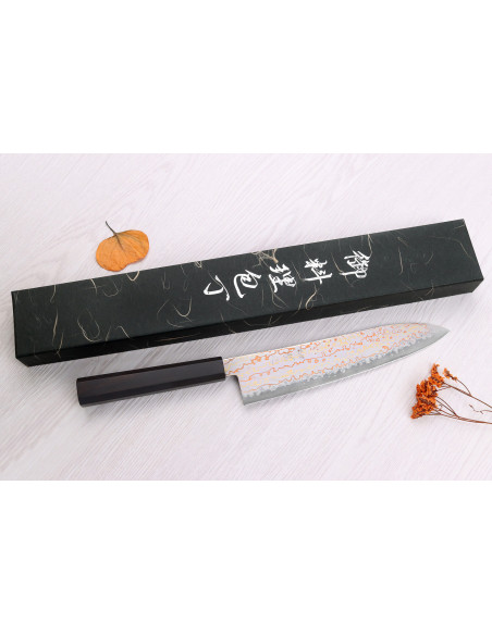 Hatsukokoro Hayabusa Rainbow Damascus 21 cm, coltello da chef giapponese