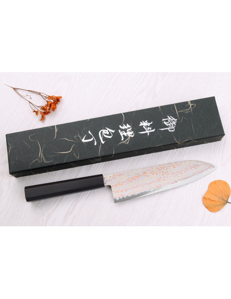 Hatsukokoro Hayabusa Rainbow Damascus 18 cm japansk santokukniv