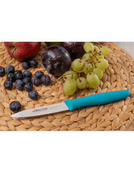 Arcos Nova Spickmesser 10cm Griff türkisblau