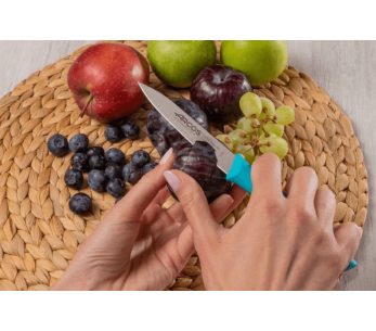 Cuchillo Arcos Nova 10cm mango turquesa 2