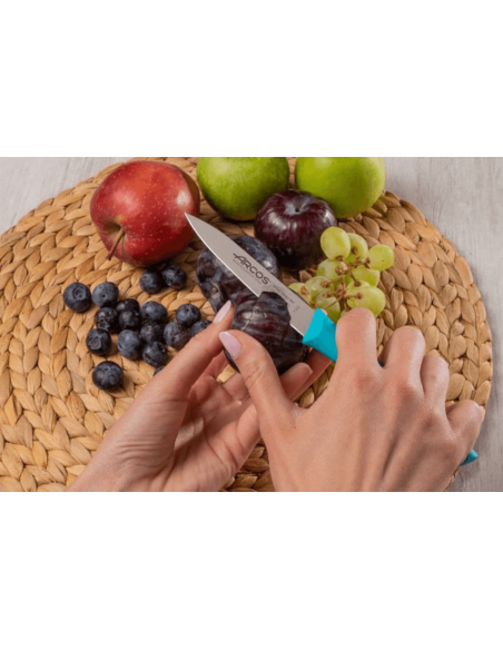 Cuchillo Arcos Nova 10cm mango turquesa