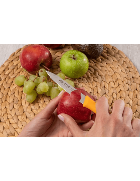 Arcos Nova Spickmesser 10cm Senfgriff