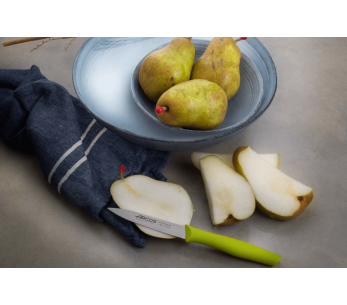 Cuchillo Arcos Nova 10cm con mango verde pistacho 2