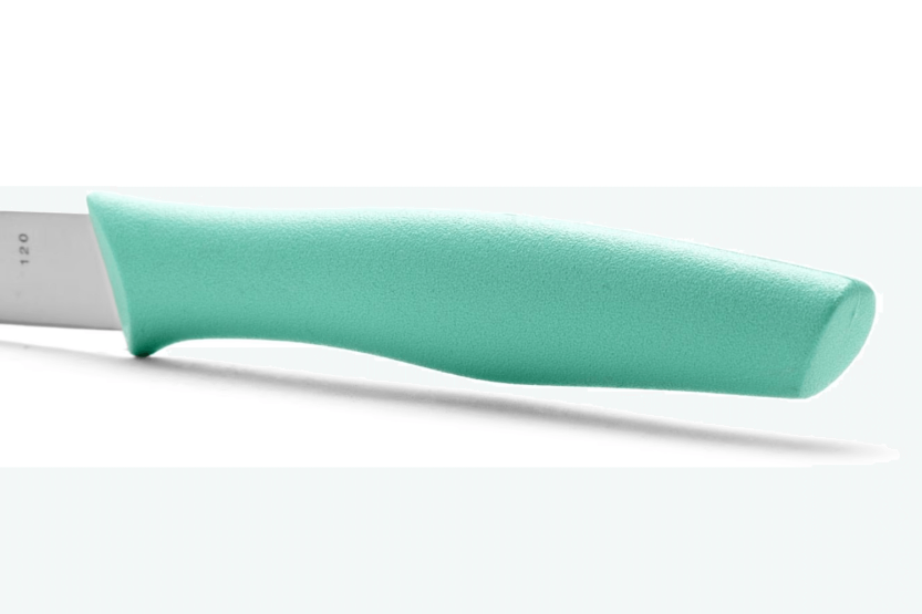 Arcos Nova paring knife 10cm Mint green handle