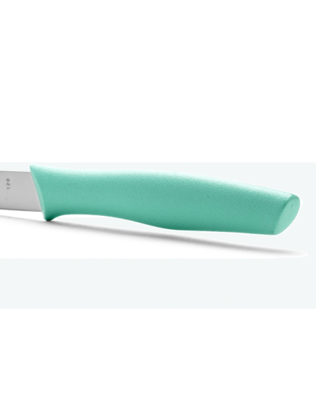 Arcos Nova schilmesje 10cm Mintgroen handvat