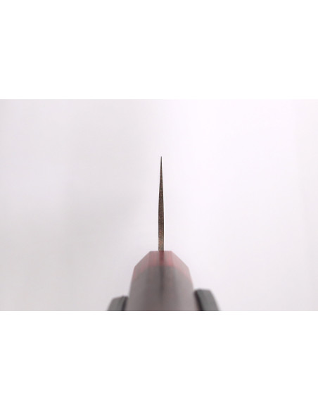 Takeshi Saji VG10 Rainbow Nashiji 24cm handgjord japansk kockkniv