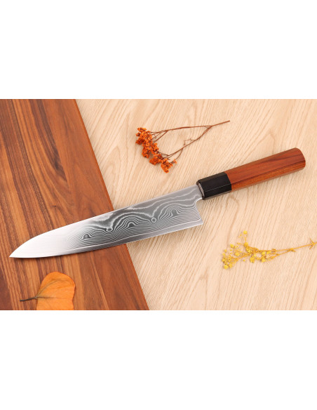 Sakai Takayuki Super Gold Strix 21cm Japanese chef ' s knife