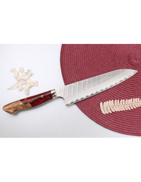 21cm Nigara Hamono Migaki Tsuchime SG2 acrylic handle japanese artisanal chef's knife