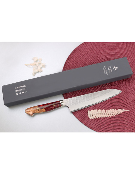 21 cm Nigara Hamono Migaki Tsuchime SG2 manico in acrilico Coltello da chef, tradizionale giapponese