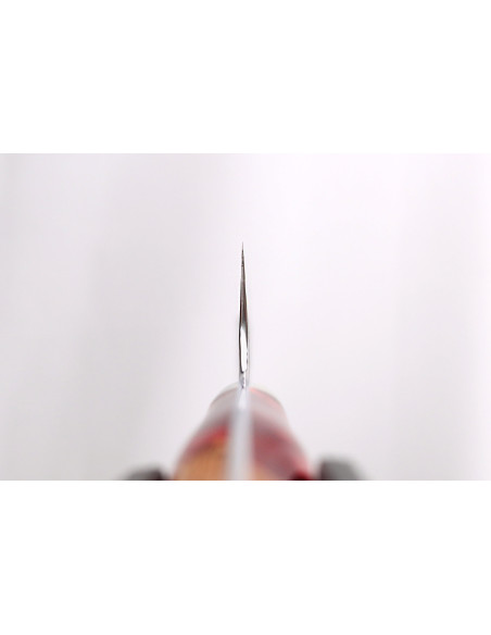 21 cm Nigara Hamono Migaki Tsuchime SG2 manico in acrilico Coltello da chef, tradizionale giapponese