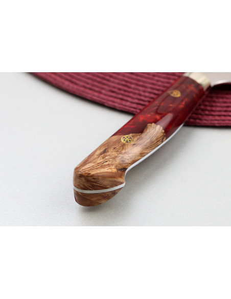 21cm Nigara Hamono Migaki Tsuchime SG2 mango acrílico Cuchillo de cocinero, tradicional japonés