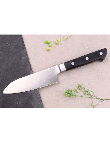 13,5cm Satake ABS Japanese santoku knife