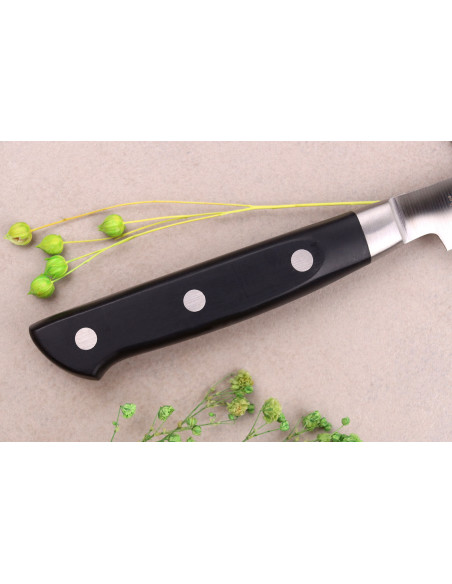 Estuche 2 cuchillos japoneses Satake ABS chef 21cm + office 9cm