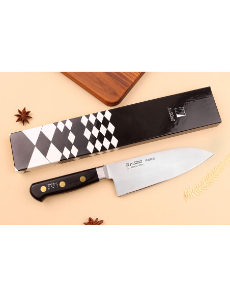 Misono SW Japans deba mes