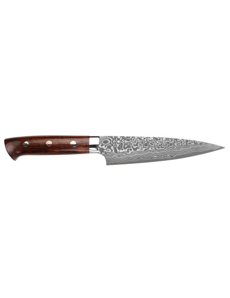 Takeshi Saji R2 Damaskus Mosaik Japansk brukskniv 15cm