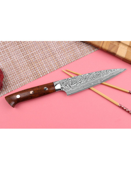 Takeshi Saji R2 Damaskus Mosaic japansk universalkniv 15 cm
