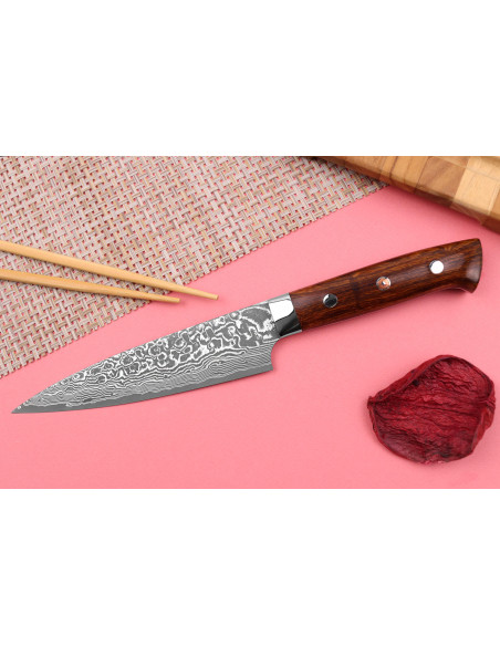 Takeshi Saji R2 Damaskus Mosaic japansk universalkniv 15 cm