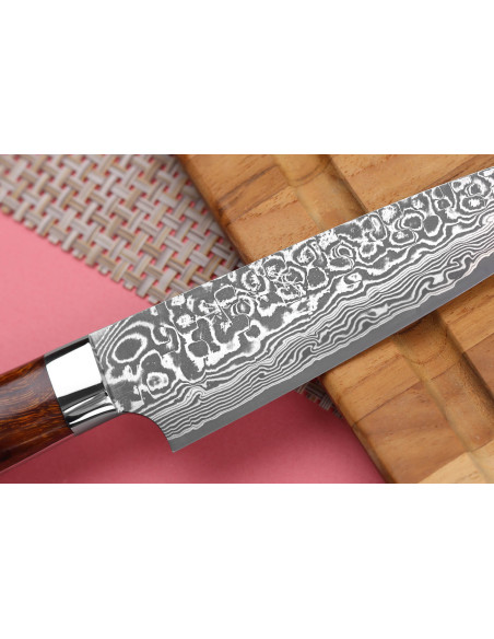 Takeshi Saji R2 Damaskus Mosaik Japansk brukskniv 15cm