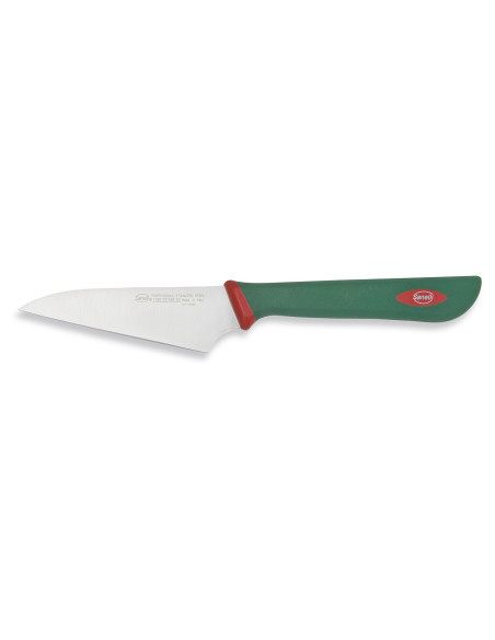Set di 4 coltelli professionali per sushi e pesce SANELLI con manico verde