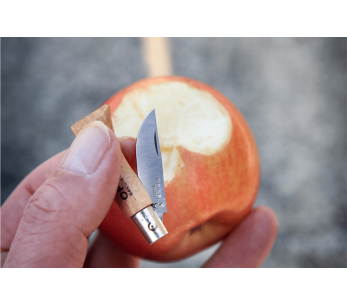 Opinel Tradition Inox fällkniv n°02 3,5cm blad bokhandtag 2
