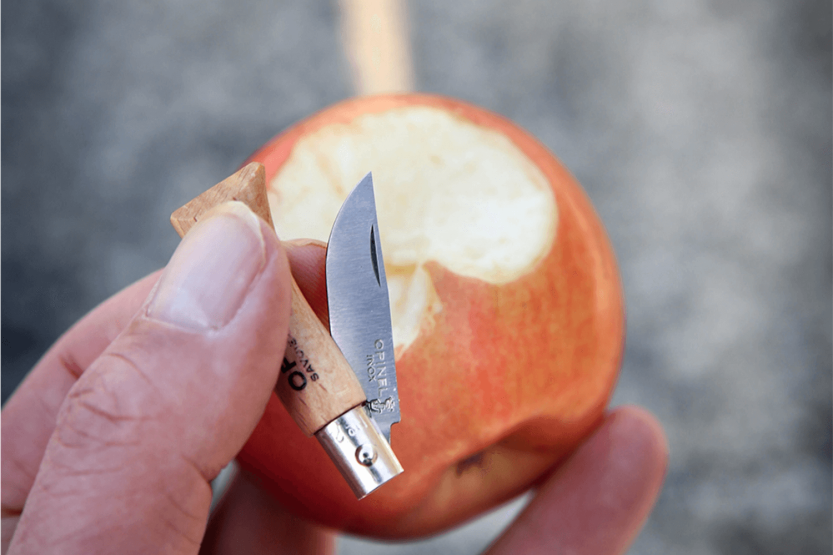 Navaja Opinel Tradition acero inoxidable n°02 hoja 3,5cm mango haya