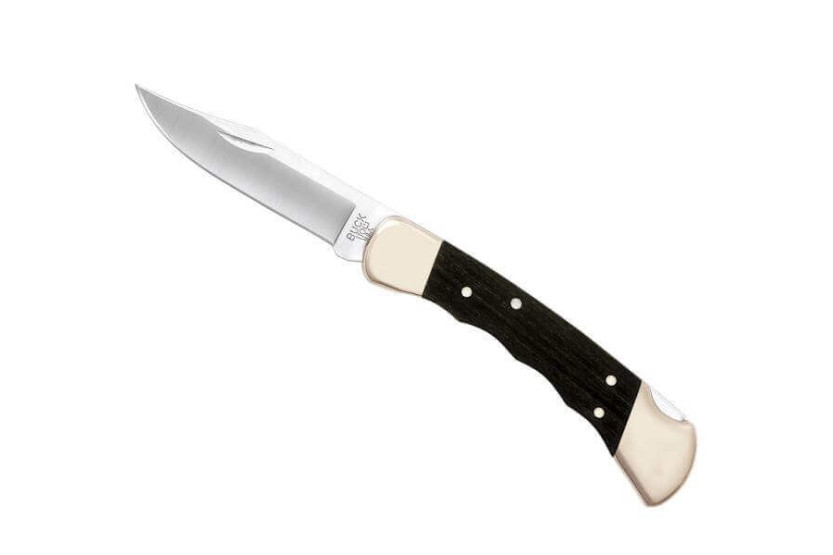 BUCK 110FG Faca de caça dobrável 12,5cm cabo impressões digitais + bainha de couro