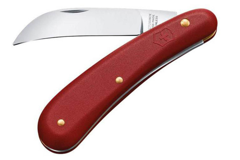 Victorinox 11cm serpette knife with red nylon handle
