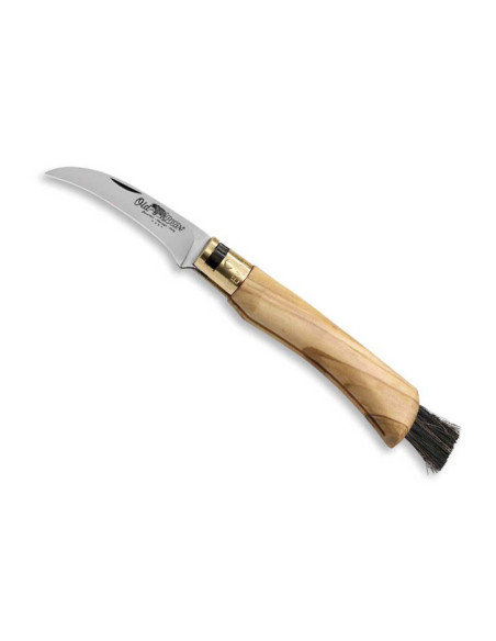 Klappbares Pilzmesser Old Bear Griff 11cm Olivenbaum mit Zwinge
