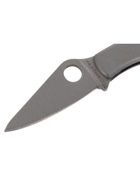Spyderco Bug C133P fällkniv 4,1 cm handtag i rostfritt stål