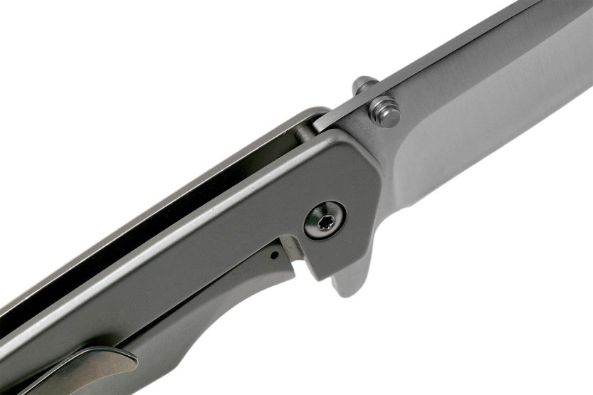 BUCK ODESSA folding knife 0254SSS 11.1cm stainless steel handle