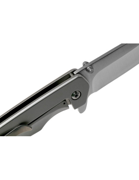 BUCK ODESSA folding knife 0254SSS 11.1cm stainless steel handle