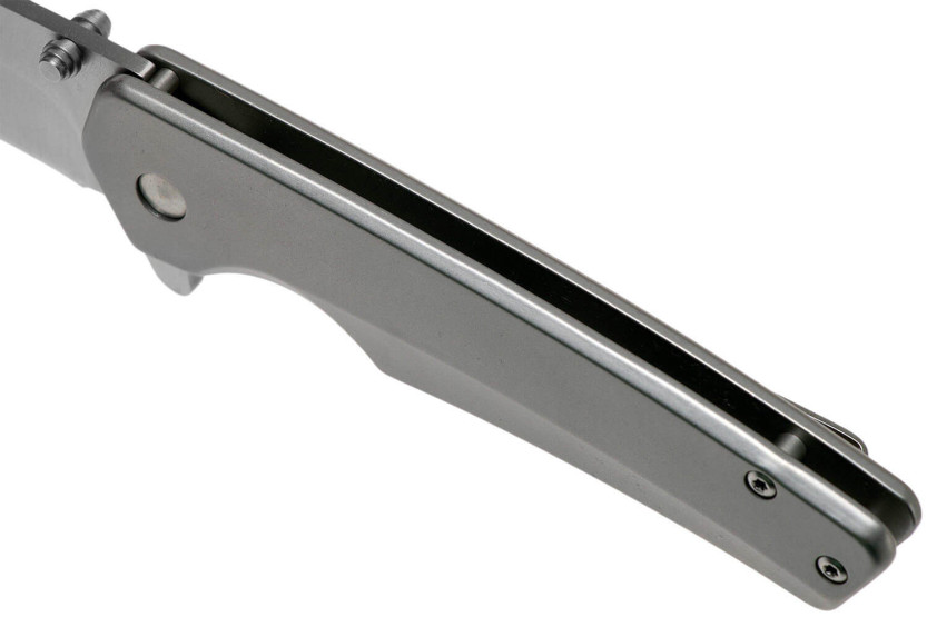 BUCK ODESSA folding knife 0254SSS 11.1cm stainless steel handle