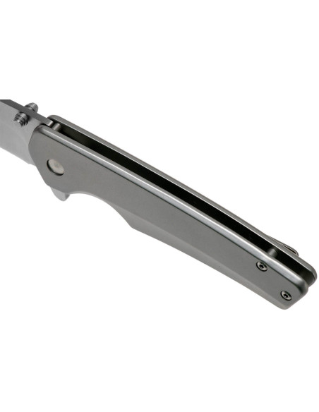 BUCK ODESSA folding knife 0254SSS 11.1cm stainless steel handle