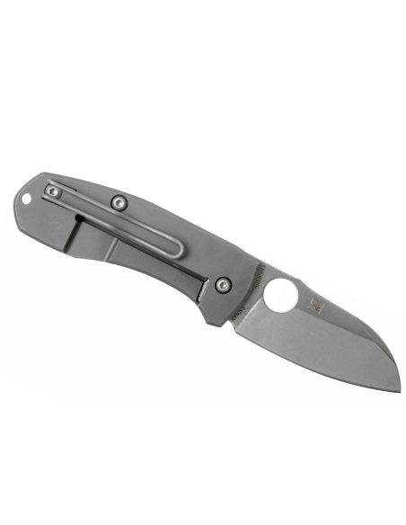 Klappmesser Spyderco Techno 2 C158TIP2 Titanium Griff 8,8cm