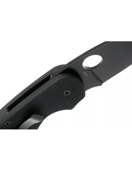 Spyderco Efficient C216GPBBK folding knife 10.4cm black G10 handle