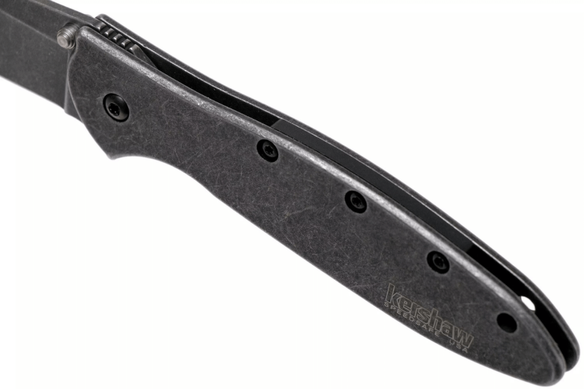 Kershaw Random Leek Blackwash KS.1660RBW coltello pieghevole 10,2 cm manico in acciaio inox
