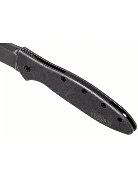 Kershaw Random Leek Blackwash KS.1660RBW coltello pieghevole 10,2 cm manico in acciaio inox