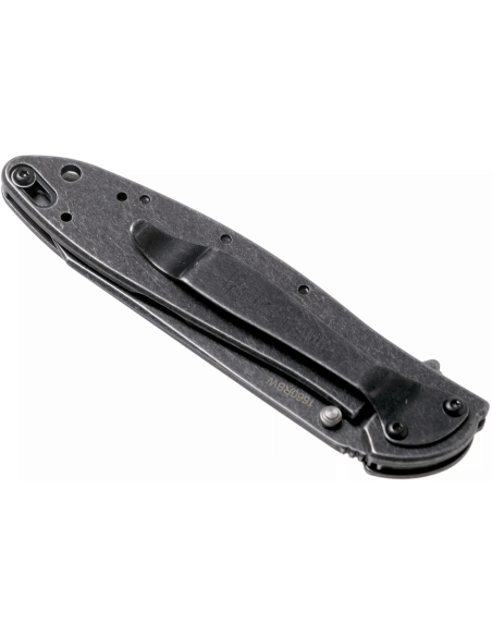 Kershaw Random Leek Blackwash KS.1660RBW coltello pieghevole 10,2 cm manico in acciaio inox