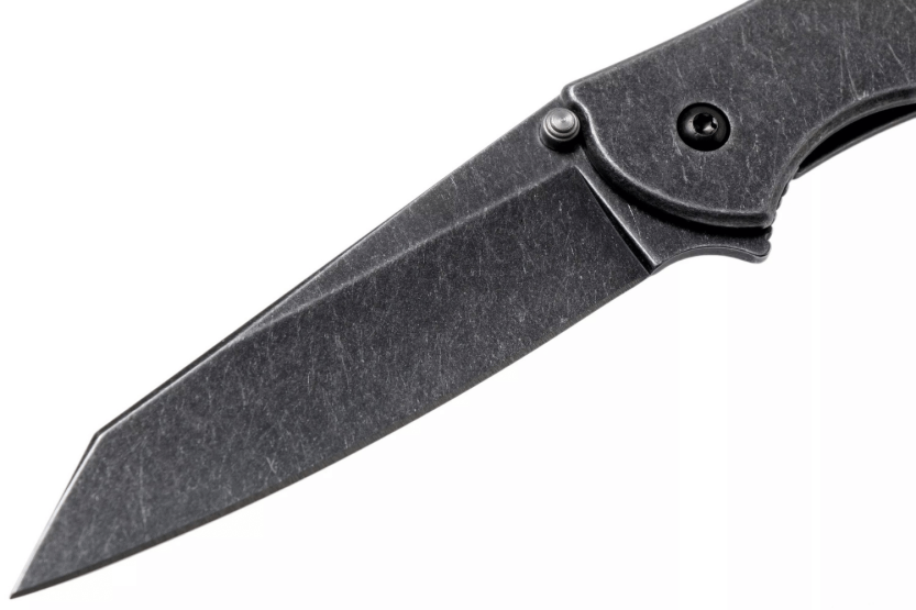 Kershaw Random Leek Blackwash KS.1660RBW coltello pieghevole 10,2 cm manico in acciaio inox