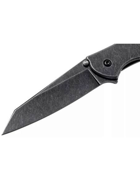 Kershaw Random Leek Blackwash KS.1660RBW coltello pieghevole 10,2 cm manico in acciaio inox