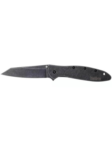 Kershaw Random Leek Blackwash KS.1660RBW coltello pieghevole 10,2 cm manico in acciaio inox