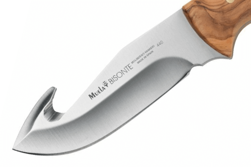 Muela Bisonte 9224 kniv 11,5 cm blad oliventræhåndtag + læderskede