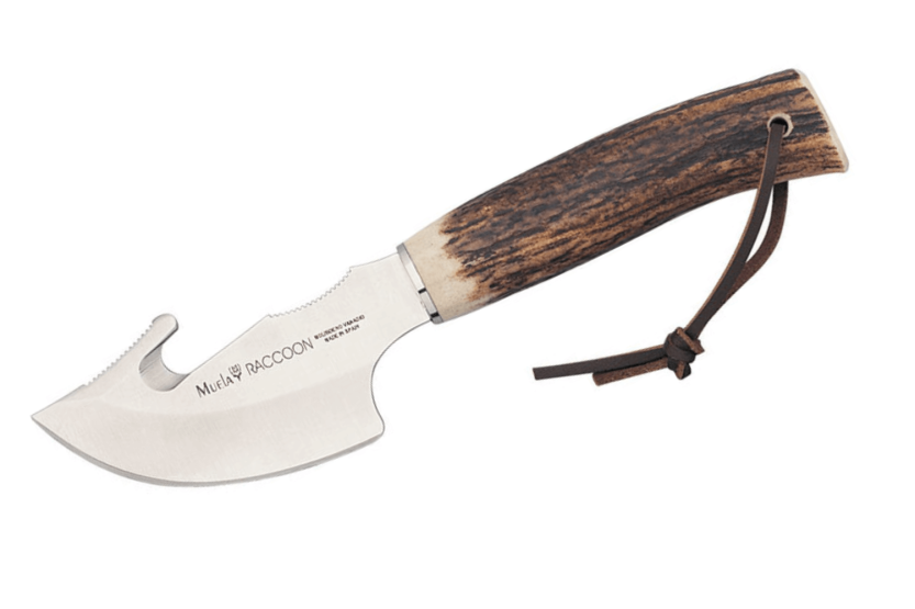 Cuchillo Muela Mapache 9232 8cm hoja acero inoxidable mango asta ciervo + funda cuero