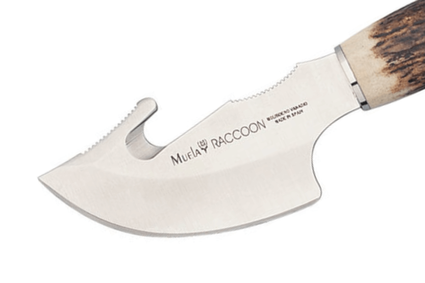 Muela Raccoon 9232 knife 8cm stainless steel blade antler handle + leather sheath