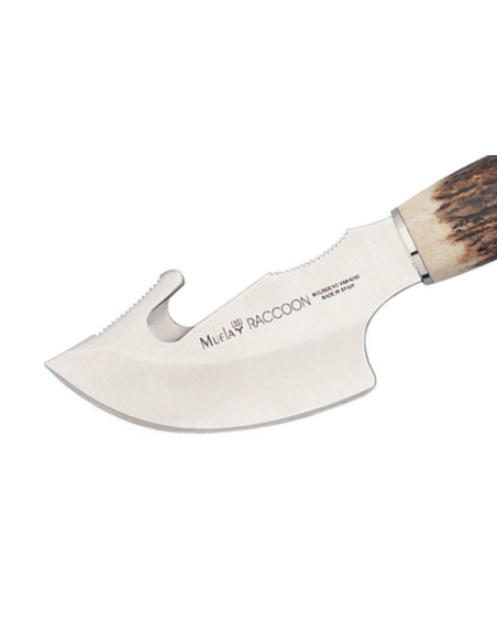 Muela Raccoon 9232 kniv 8 cm blad i rustfrit stål med gevirhåndtag + læderskede