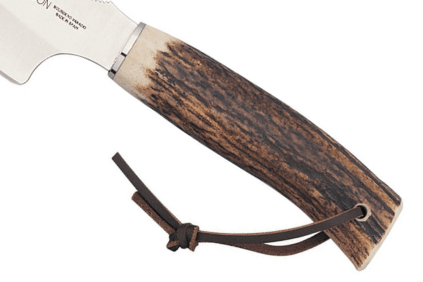 Muela Raccoon 9232 knife 8cm stainless steel blade antler handle + leather sheath
