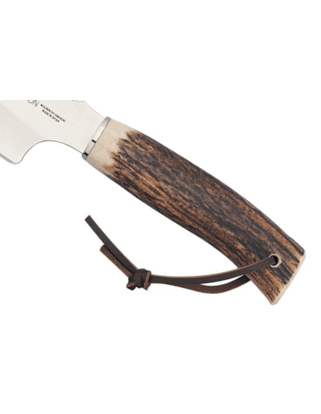 Cuchillo Muela Mapache 9232 8cm hoja acero inoxidable mango asta ciervo + funda cuero