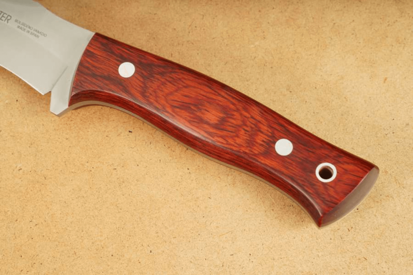 Muela Pointer 9330 kniv 12 cm blad i rustfritt stål staminahåndtak + lærhylse