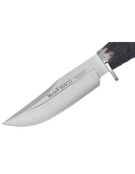 Muela Braco 9275 coltello 11cm lama in acciaio inox manico in corno di cervo con laccio + fodero in pelle