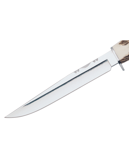 Muela Gredos 9228 knife 14cm ice-polished blade Deer wood handle + leather sheath
